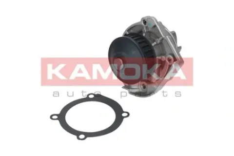 vai24-50002 насос води, фото, оригінал